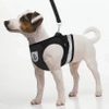 Adjustable non-restrictive walking harness for dogs and cats REFLECTIVE + 120 cm leash - XS BLACK