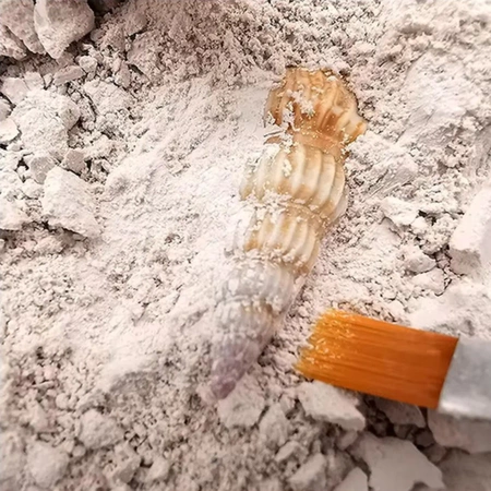 DŮL NA KRYSTALY A DIAMANTY VYKOPÁVKY VZDĚLÁVACÍ ARCHEOLOGICKÁ HRAČKA