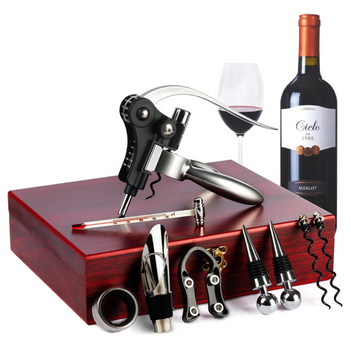 Premium Wine Set: Corkscrew, Bottle Opener, Pourer, Thermometer, Box