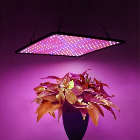 Lampa do wzrostu UV roślin wisząca uprawa roślin PANEL linki 225 LED SLIM