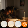 LED DESK LAMP SCHOOL LAMP TOUCH FOR READING WORK NIGHT LIGHT - WHITE