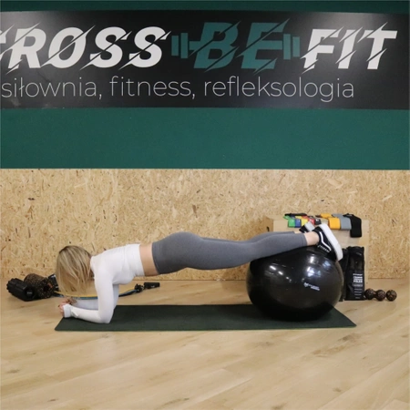 Rehabilitační míč Gymnastický pro cvičení FITNESS POSILOVNA 75 cm + E-BOOK