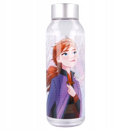 FROZEN LODGE COUNTRY - Elsa and Anna mug large bottle for children