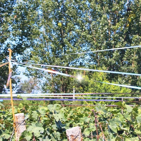 ODSTRASZACZ PTAKÓW taśma odblaskowa 50m odstraszająca ptaki gołębie kruki