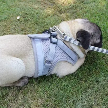REFLECTIVE adjustable non-restrictive walking harness for cats and dogs + LEASH 120 cm - XS GREY