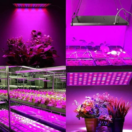 Lampa do wzrostu UV roślin wisząca uprawa roślin PANEL linki 225 LED SLIM