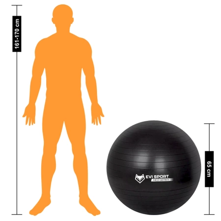 REHABILITATION BALL Gymnastic Exercise BALL FITNESS GYM 65cm + EBOOK