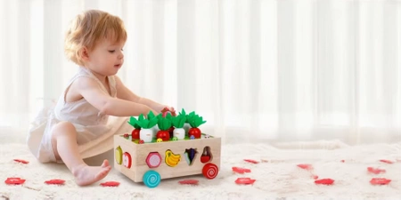 MONTESSORI dřevěná sada CHYŤ BROUKA třídící kostky AUTO XXL skládačka