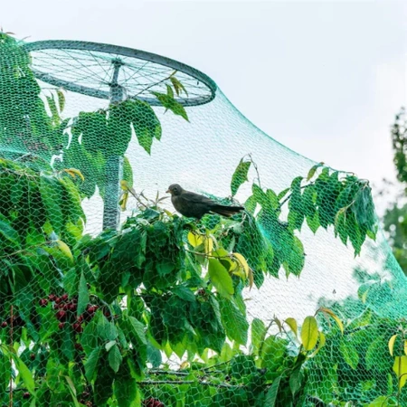 BIRD PROTECTIVE NETTING LARGE VERY STRONG 8x20M AGAINST PEST BIRDS