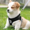 Adjustable non-restrictive walking harness for dogs and cats REFLECTIVE + 120 cm leash - S BLACK
