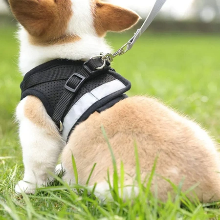WALKING HARNESS adjustable, pressure-free for cat, dog, REFLECTIVE + LEASH 120 cm - M BLACK