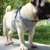 REFLECTIVE adjustable non-restrictive walking harness for cats and dogs + LEASH 120 cm - XS GREY