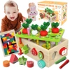 MONTESSORI wooden set CATCH THE WORM block sorter CAR XXL puzzle