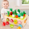 MONTESSORI wooden set CATCH THE WORM block sorter CAR XXL puzzle