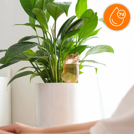 NAWADNIACZ DO KWIATÓW ROŚLIN AUTOMATYCZNY DOZOWNIK WODY NAWODNIENIE OGRÓD | RÓŻOWY