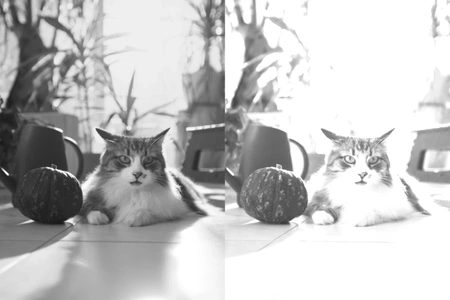 Electric Nanny Cam Wireless Wifi FULL HD AI cam 5.0