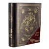 HARRY POTTER magic book of spells moneybox