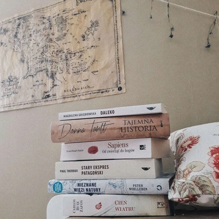 Map of Middle-earth LORD OF THE RINGS parchment 47x67cm