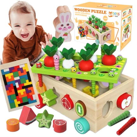 MONTESSORI wooden set CATCH THE WORM block sorter CAR XXL puzzle