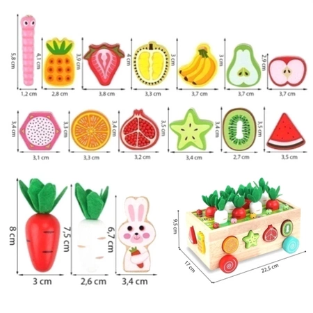 MONTESSORI wooden set CATCH THE WORM block sorter CAR XXL puzzle