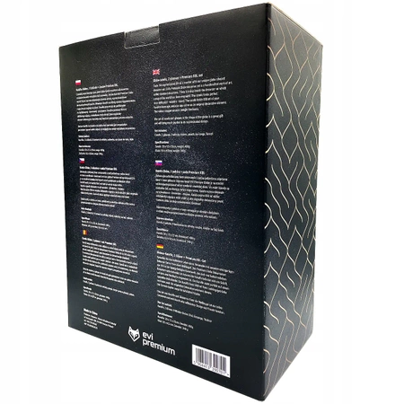 Whisky decanter with glasses EVI PREMIUM Globe Ship - gift set