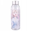FROZEN LODGE COUNTRY - Elsa and Anna mug large bottle for children