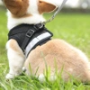 WALKING HARNESS adjustable, pressure-free for cat, dog, REFLECTIVE + LEASH 120 cm - M BLACK