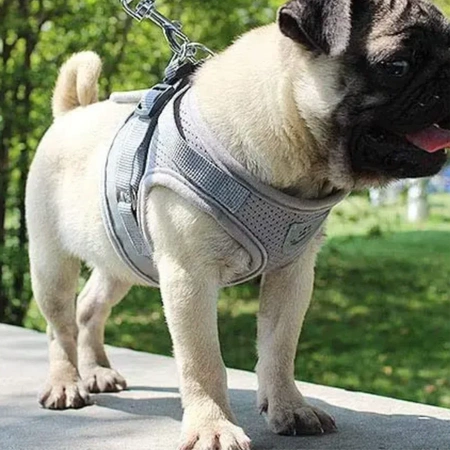 REFLECTIVE adjustable non-restrictive walking harness for cats and dogs + LEASH 120 cm - S GREY