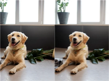 Elektrická chůva Bezdrátová Wifi FULL HD AI kamera 5.0