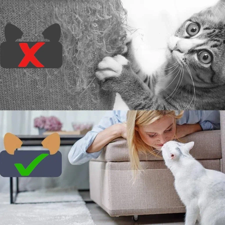 2x protective foil sticker for furniture, cat scratching post - 50 x 35 cm (XXL)