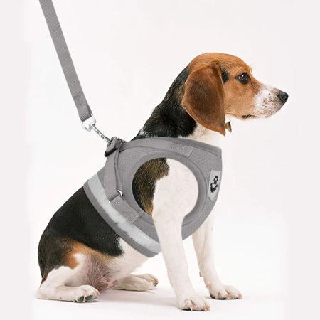 REFLECTIVE adjustable non-restrictive walking harness for cats and dogs + LEASH 120 cm - XS GREY