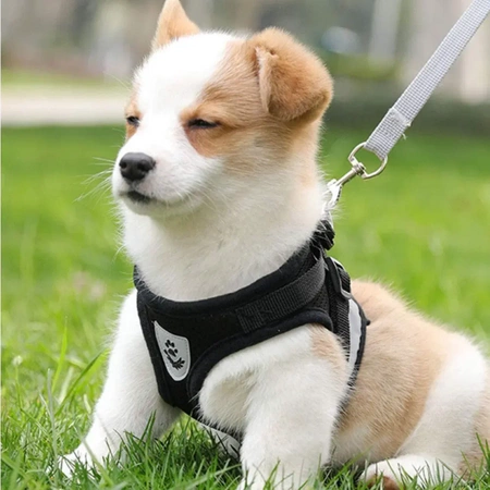 Adjustable non-restrictive walking harness for dogs and cats REFLECTIVE + 120 cm leash - S BLACK