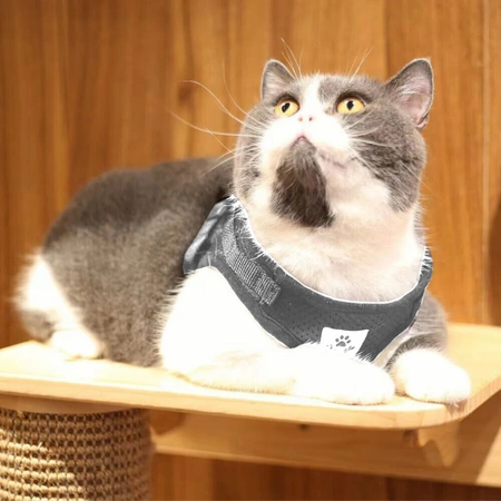 REFLECTIVE adjustable non-restrictive walking harness for cats and dogs + LEASH 120 cm - XS GREY